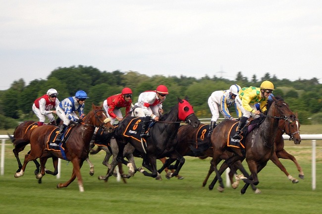 horse-racing-2714850_960_720