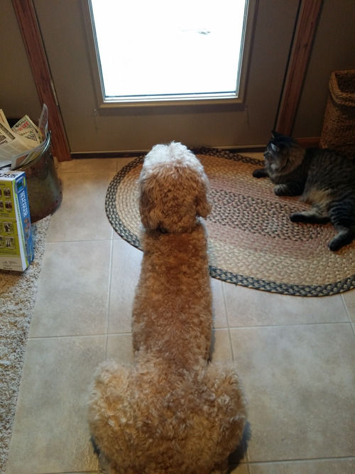 Dragon AshDȓzW܂YouTube>24{ ->摜>50 