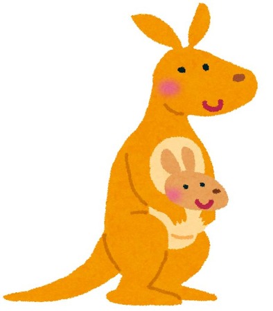 animal_kangaroo