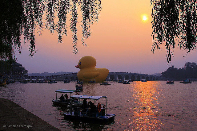 duck-w-2013beijing2_mini