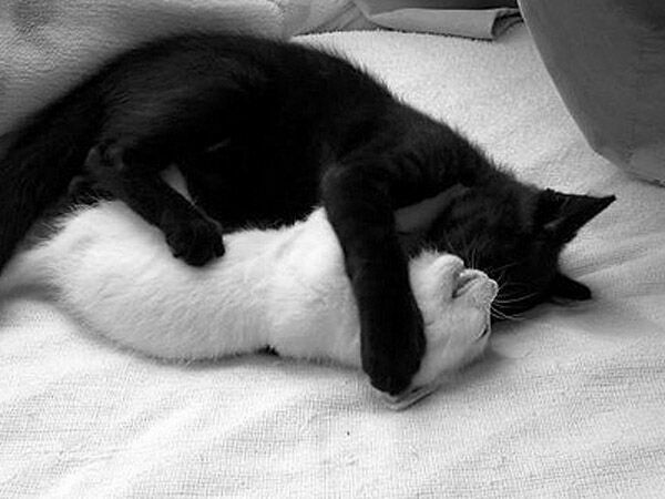 ȋȑq part 2 [f]ڋ֎~]©bbspink.com	->摜>4494 