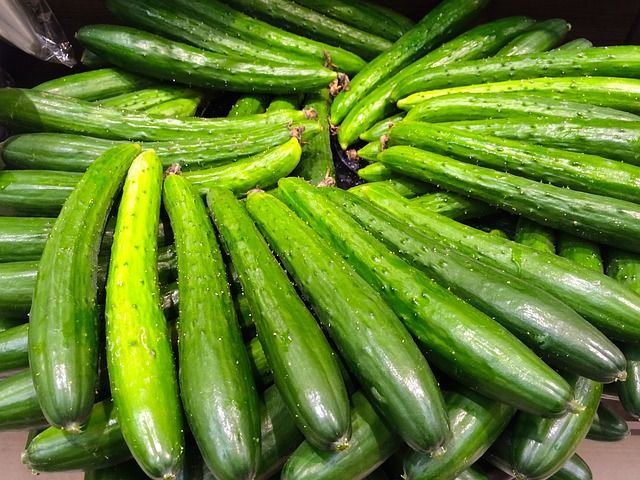 cucumber-1699024_640
