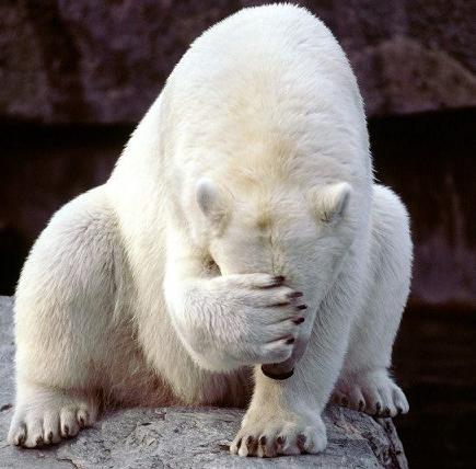 white-bear-shameful