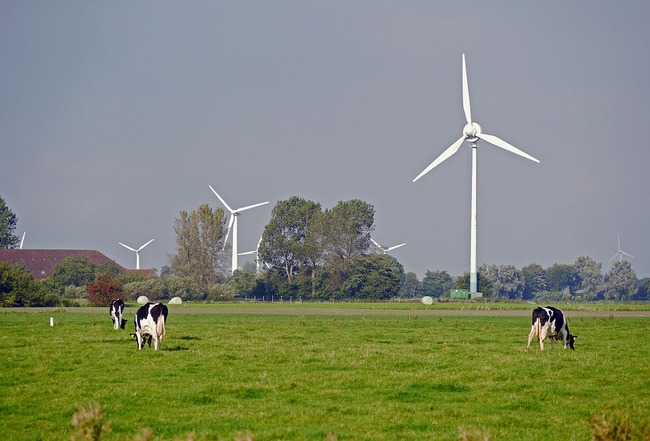 east-frisia-1789831_960_720