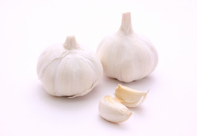garlic-img1
