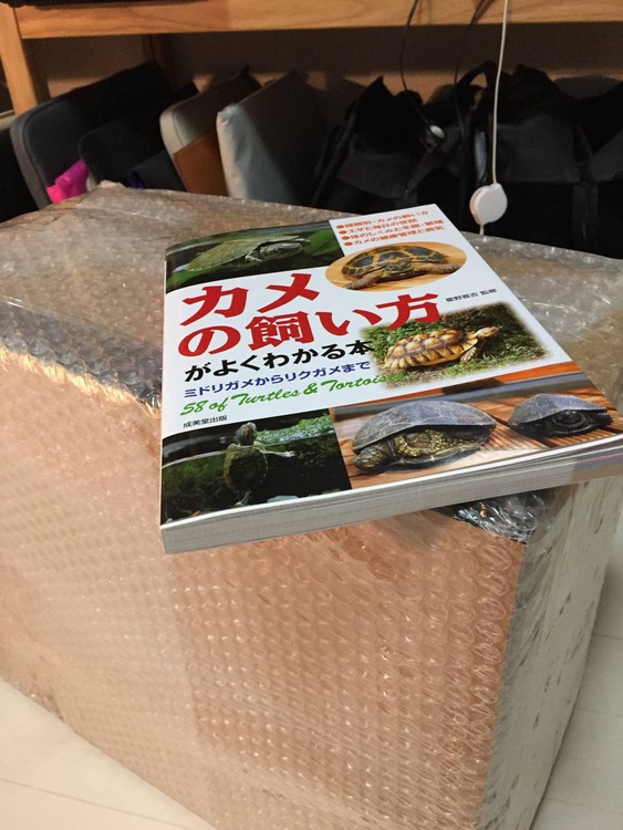 15万円もするヘッドホホホ+購入してきたったw