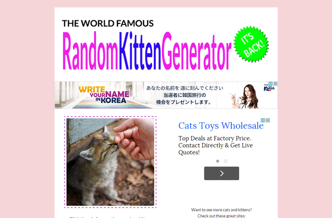 The Random Kitten Generator