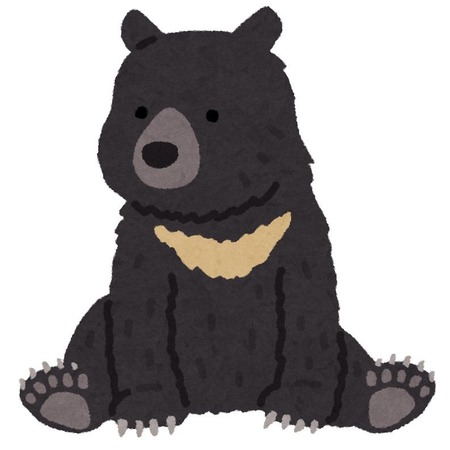 animal_bear_tsukinowa