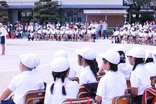 f2c98ed59e7c14d8318c57443431d337_t