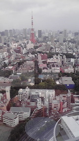 81b9ab25.jpg
