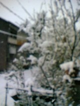 SNOW2