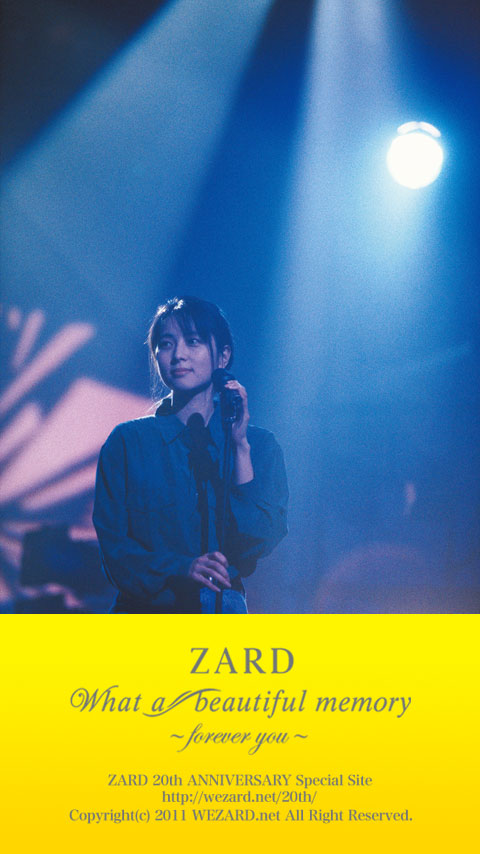 Zard What A Beautiful Memory Forever You Iso