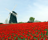 3d280099.jpg