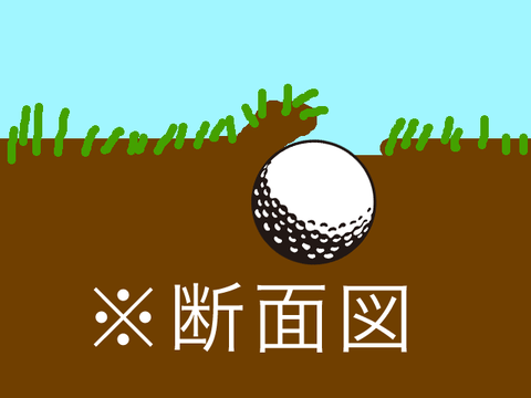 断面