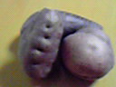08ad6928.jpg