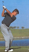 20051117ernie_els_backswing