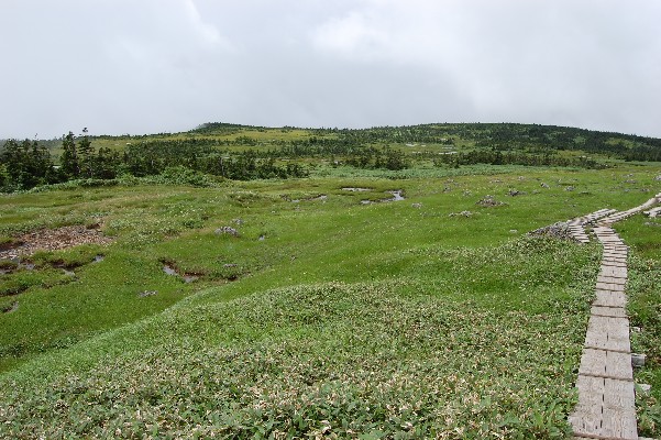 n3