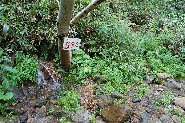 a11