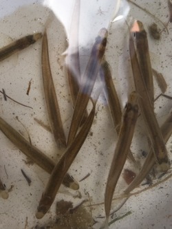c1f53e55.jpg