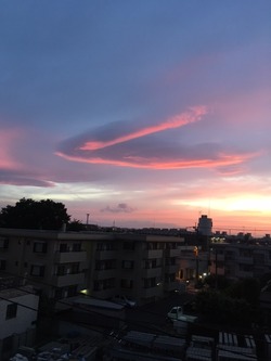 d38d3a23.jpg