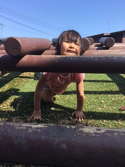 f7600a2e.jpg