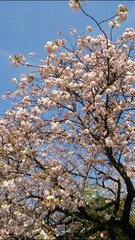 367f3d67.jpg
