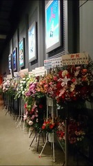 c97a675c.jpg