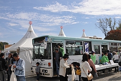 駿府公園のバス
