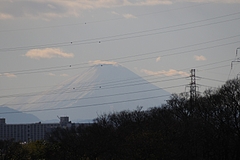 s-DSC_1910