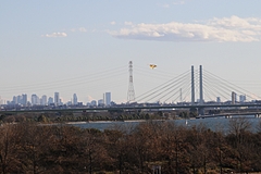 s-DSC_1971