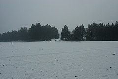 春の雪原