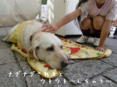 チャッピー