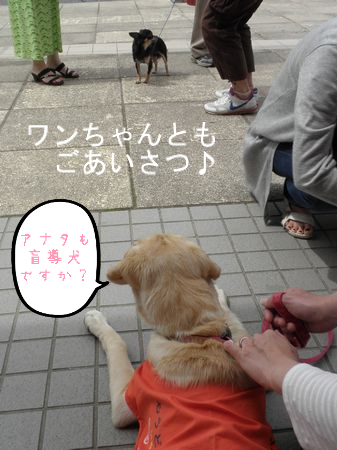 BlogPaint