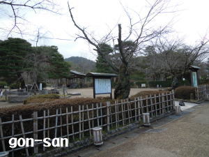 20130303-16
