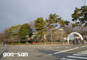 20130303-04