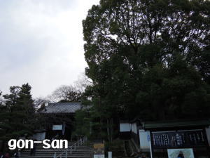 20130303-11