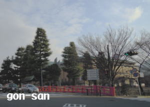 20130303-03