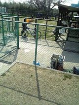 54f15ede.jpg