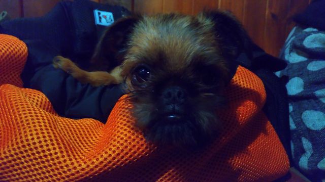 P_20180130_185342_vHDR_On