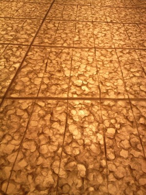 20120513e