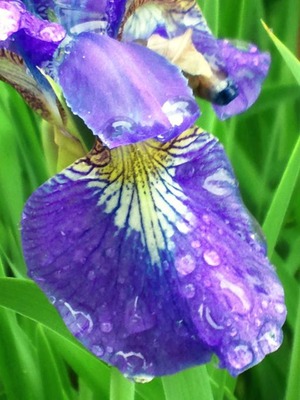 20120515d