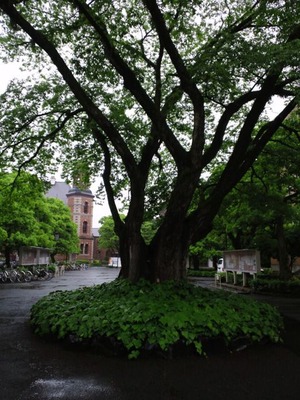 20120515e
