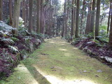 DSCN0104