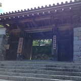 IMG_8776
