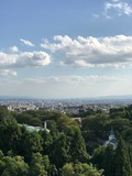 IMG_3105