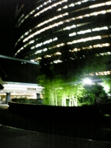 dc9ffd96.jpg