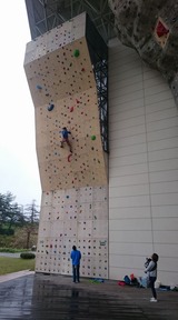 1c93c365.jpg