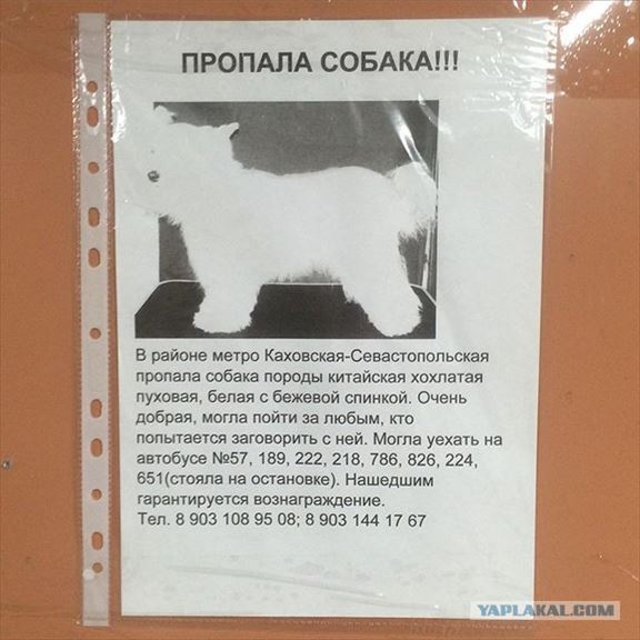 06.jpg