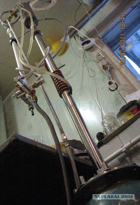 03.jpg