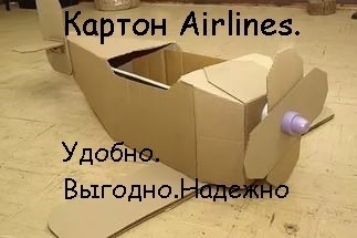 09.jpg
